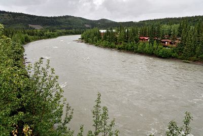 McKinley Village Lodge, by the Nenana River