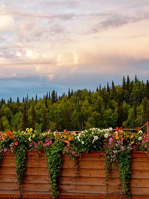 On the verandah of the Talkeetna Alaskan Lodge