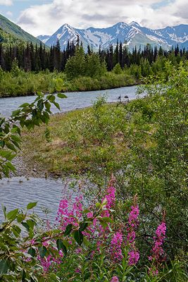 On the Seward Highway