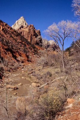The Virgin River