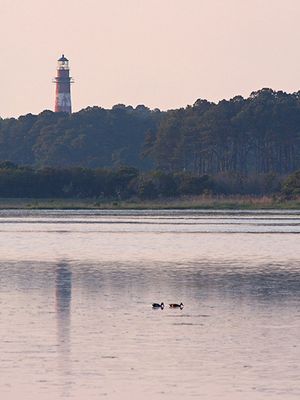 Chincoteague Lighthouse