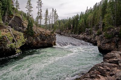 The head of the Upper Falls, on the Yellowstone River