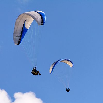 A pair of paragliders