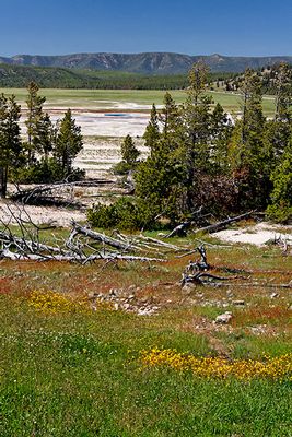 Lower Geyser Basin