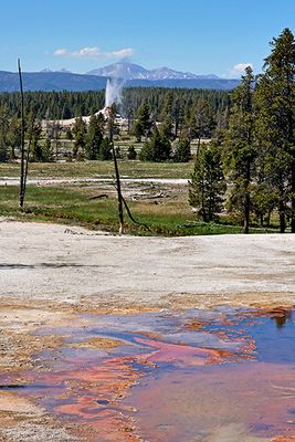 White Dome Geyser erupting
