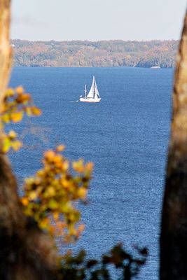 Sailing on Adolphus Reach