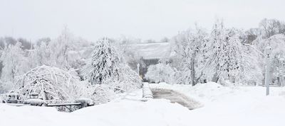 Snowy Niagara