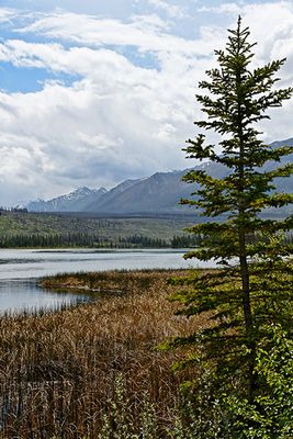 Talbot Lake, with the Jacques Range behind