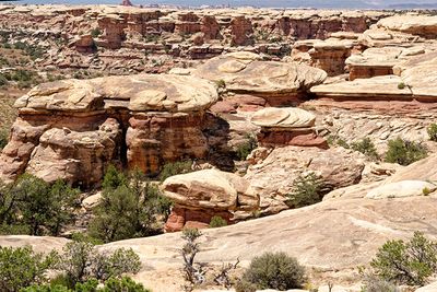 Pothole Point, In the The Needles section of Canyonlands