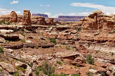 In the The Needles section of Canyonlands