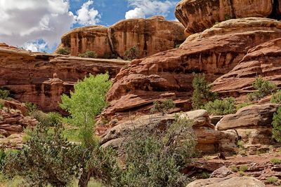 In the The Needles section of Canyonlands