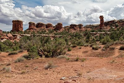 In the The Needles section of Canyonlands