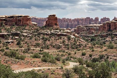 In the The Needles section of Canyonlands