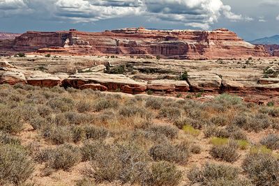 In the The Needles section of Canyonlands