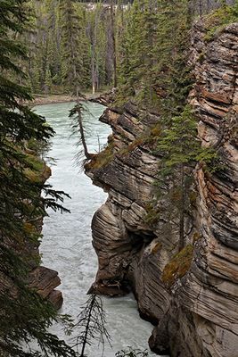 Athabasca Falls Canyon