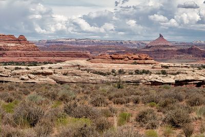 Canyonlands National Park (Needles District), Utah