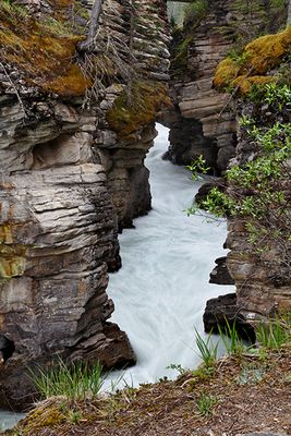 Athabasca Falls Canyon