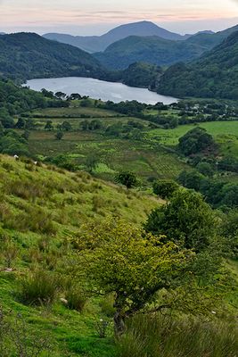 Lake Gwynant, on A498 east of Beddelgert