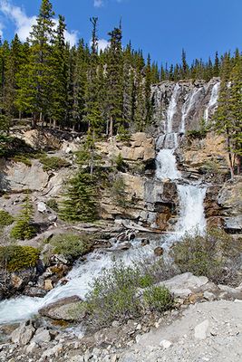 Tangle Creek