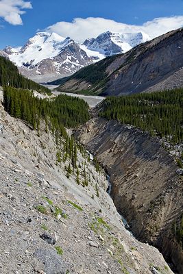 Canyon carrying glacial runoff from Mount Kitchener (I think)