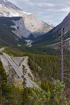 The Icefields Parkway, from the Bridal Veil Falls overlook