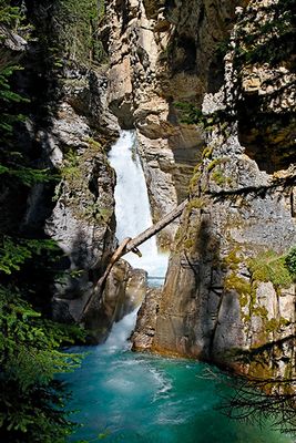 The Lower Falls, Johnston Canyon