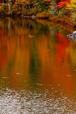 Fall reflection in Lake Ennis