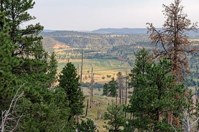 View from the base of Devils Tower