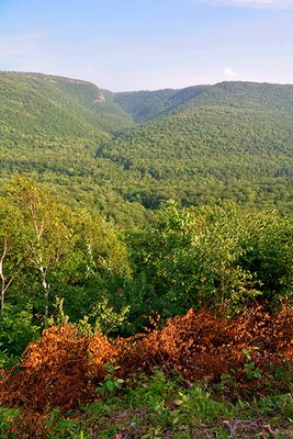 On the Cabot Trail