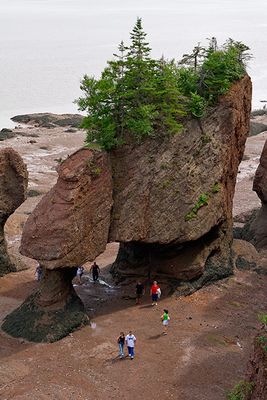 Hopewell Rocks