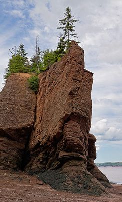 Hopewell Rocks