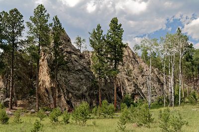 On the Needles Highway