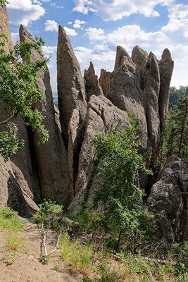 On the Needles Highway