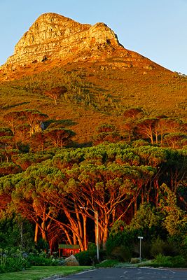 Lion's Head, from Camps Bay