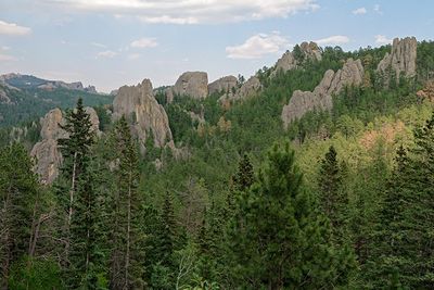 On the Needles Highway