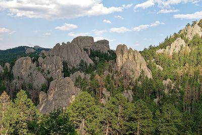 On the Needles Highway