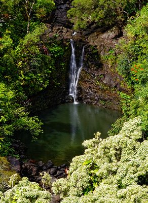 Lower Puohokamoa Falls