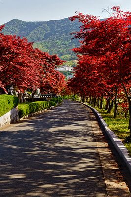 Buddhist Park at Bugok Hot Springs