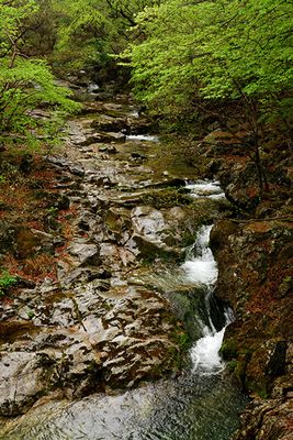 Along the path to Guryongsa Temple, in Chiaksan National Park