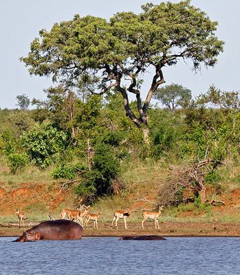 On the banks of Nyamundwa Dam