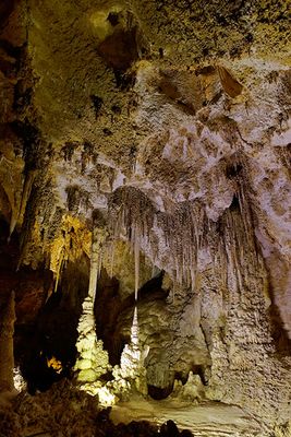 Carlsbad Caverns National Park, New Mexico