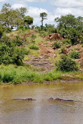 At the Sweni Hide