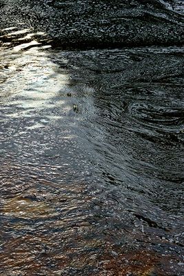 Patterns in the Eramosa River