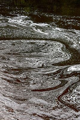 Patterns in the Eramosa River