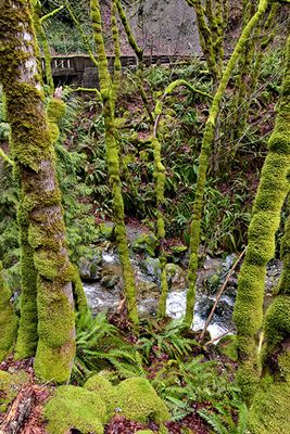 Oyster Creek