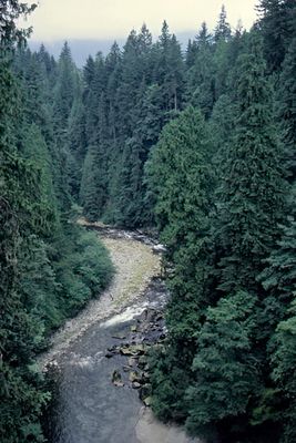 Capilano River