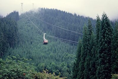 Grouse Mountain Cable Car