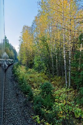 g13/52/833952/3/173565636.fcfb81a3.JPEG