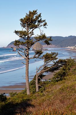 Haystack Rock, Cannon Beach