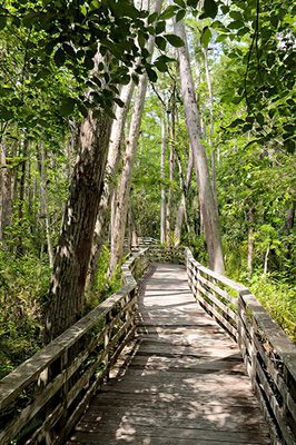 Boardwalk